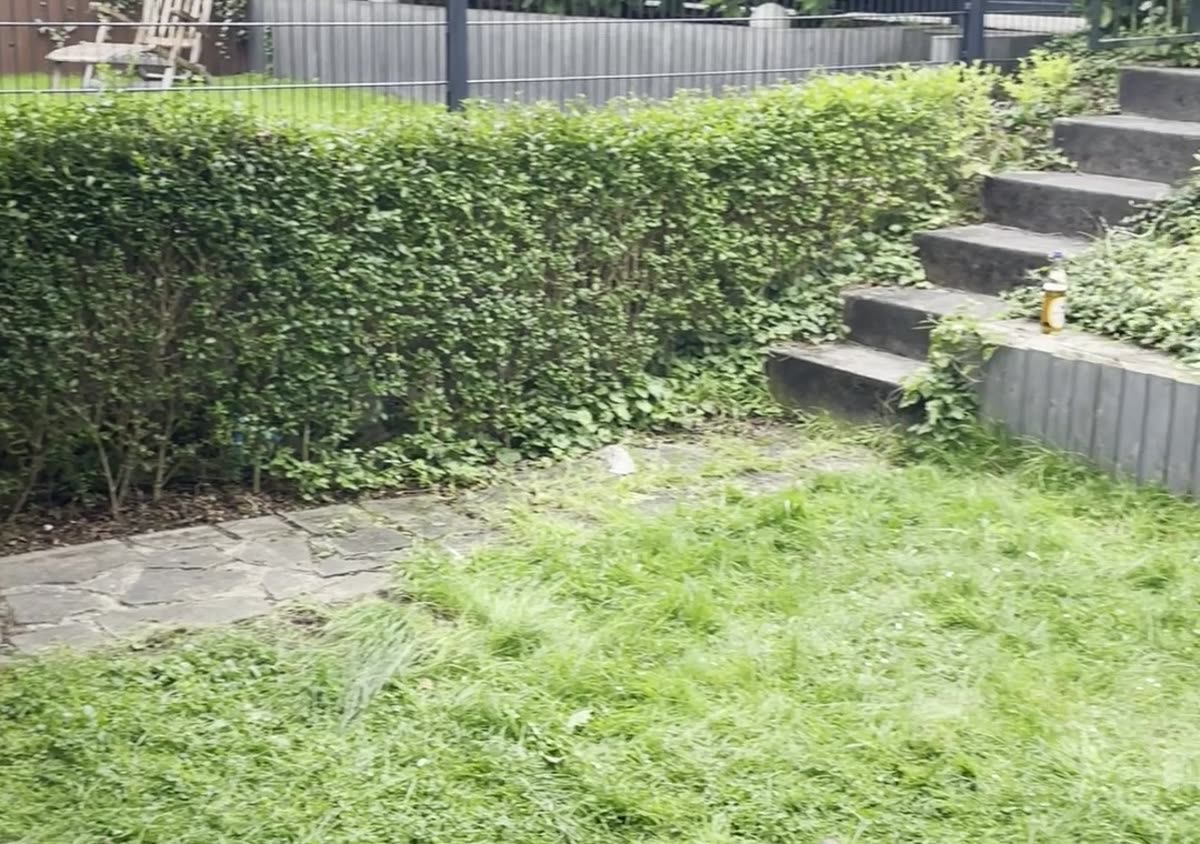 Vorher: vermooster Rasen mit alter Treppe