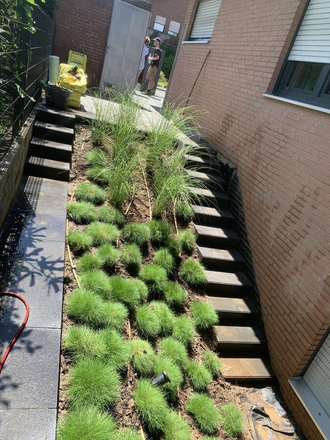 Gräserbeet mit Tropfbewässerung neben einer Stahltreppe